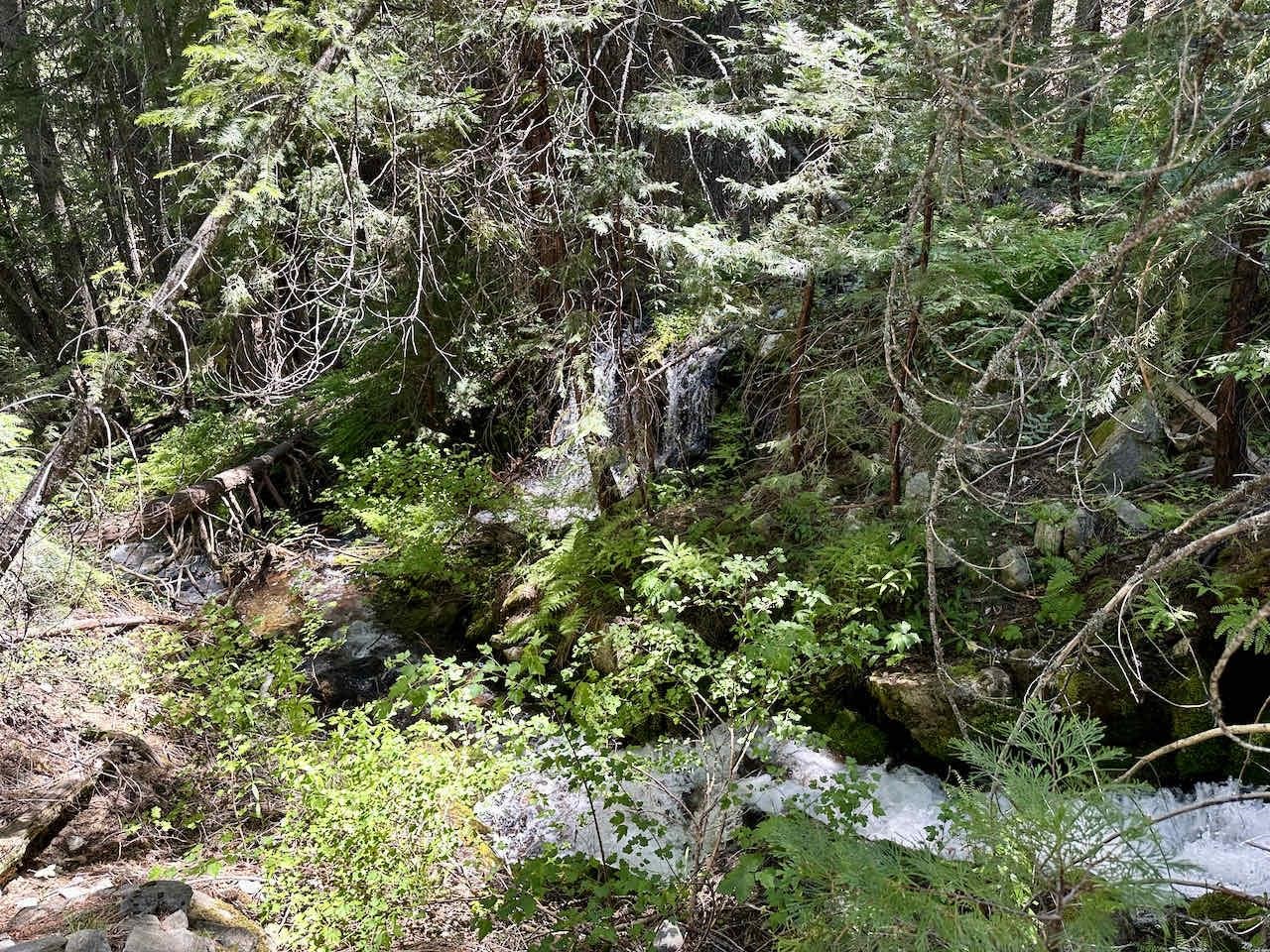 41 Acres Black Bear Loop