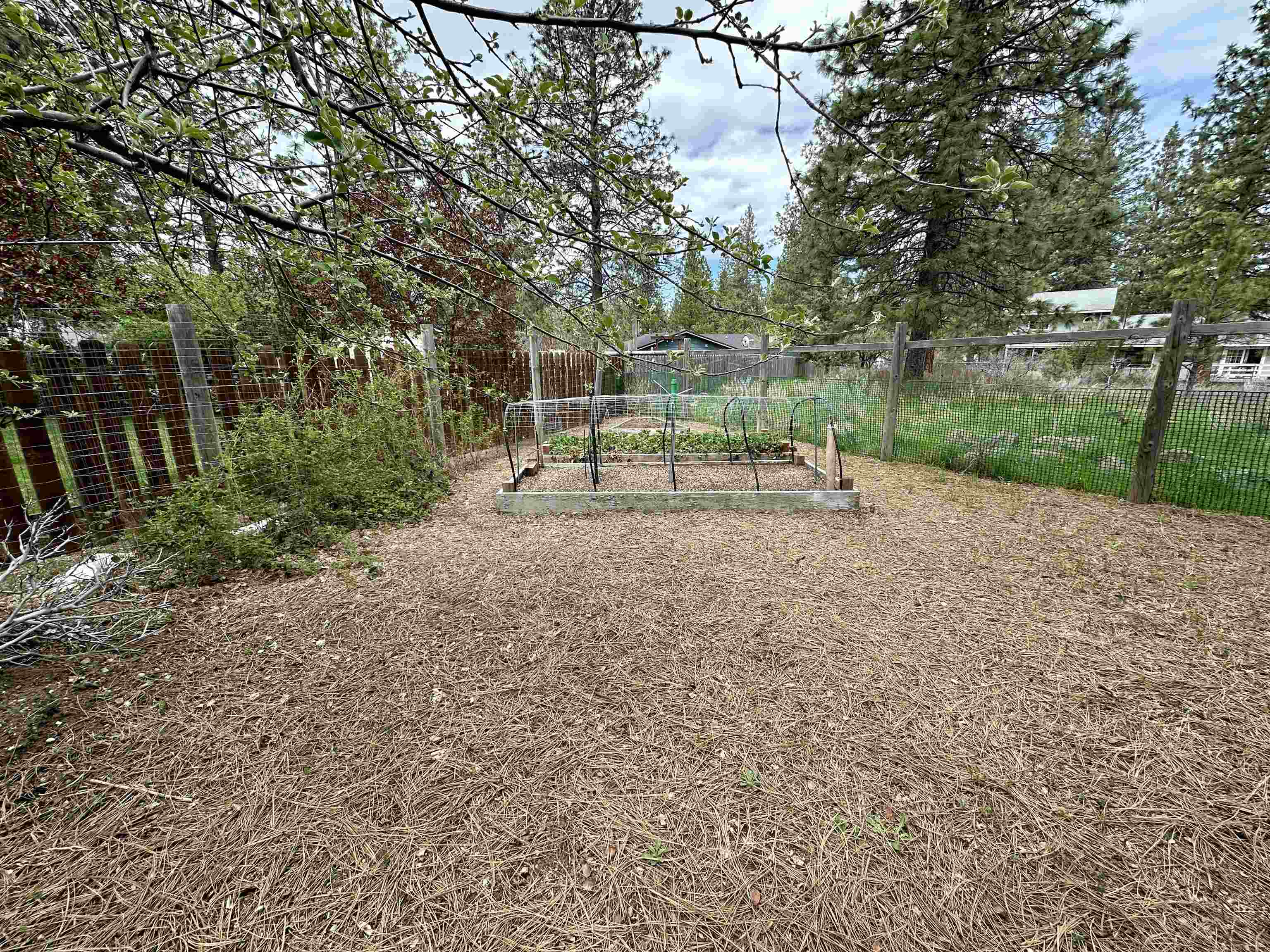 17445 JackRabbit Rd