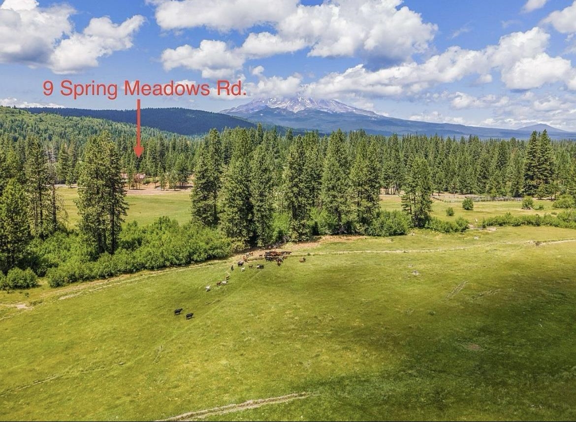 #9 Spring Meadows Road