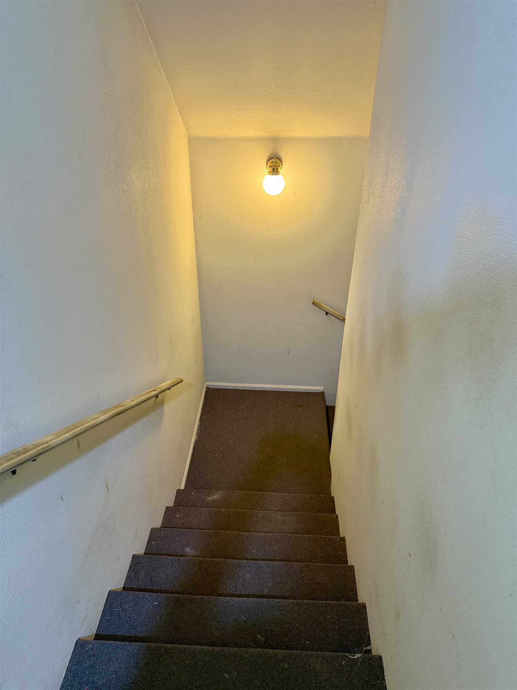 272 Walnut St