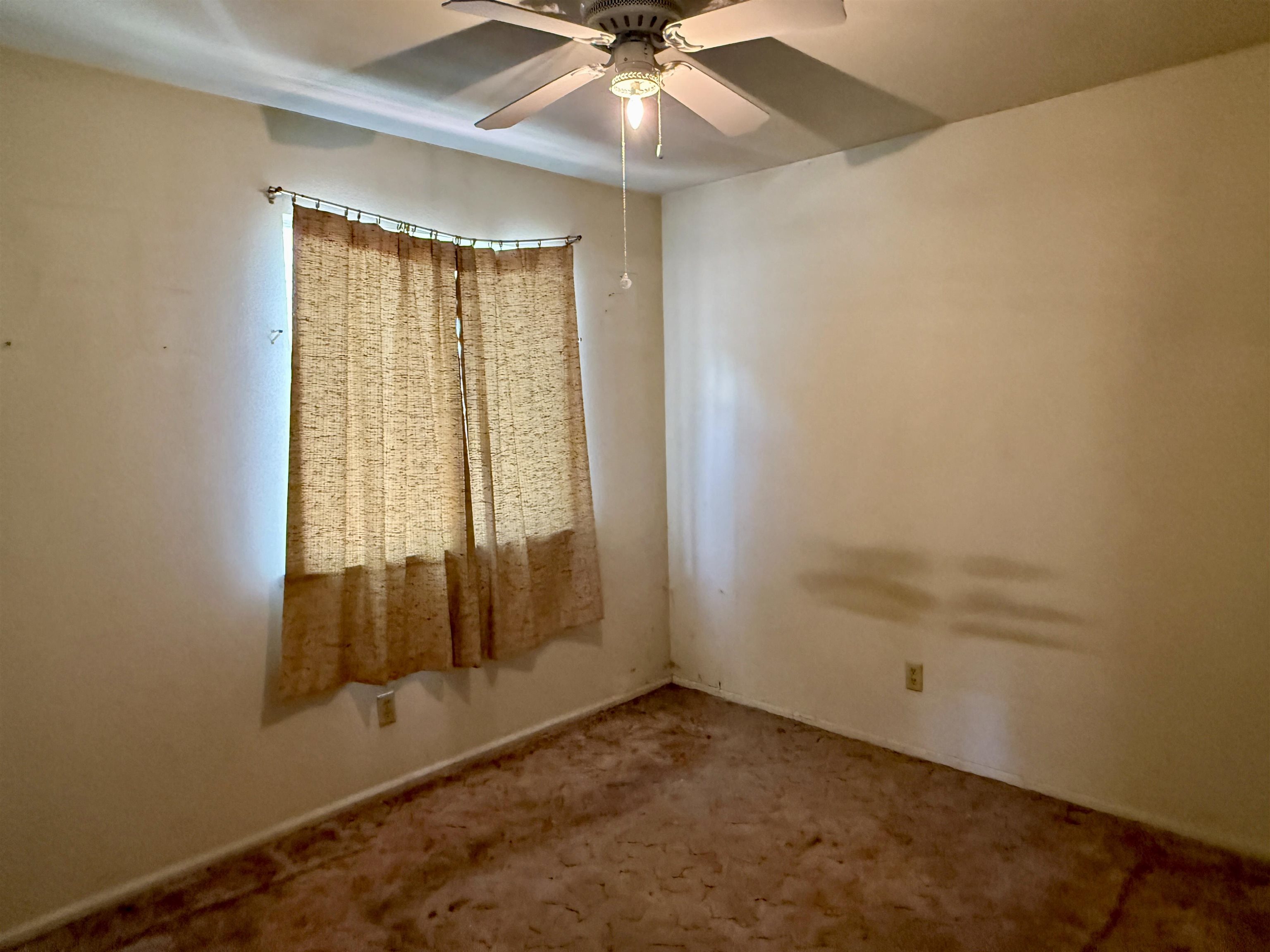 272 Walnut St