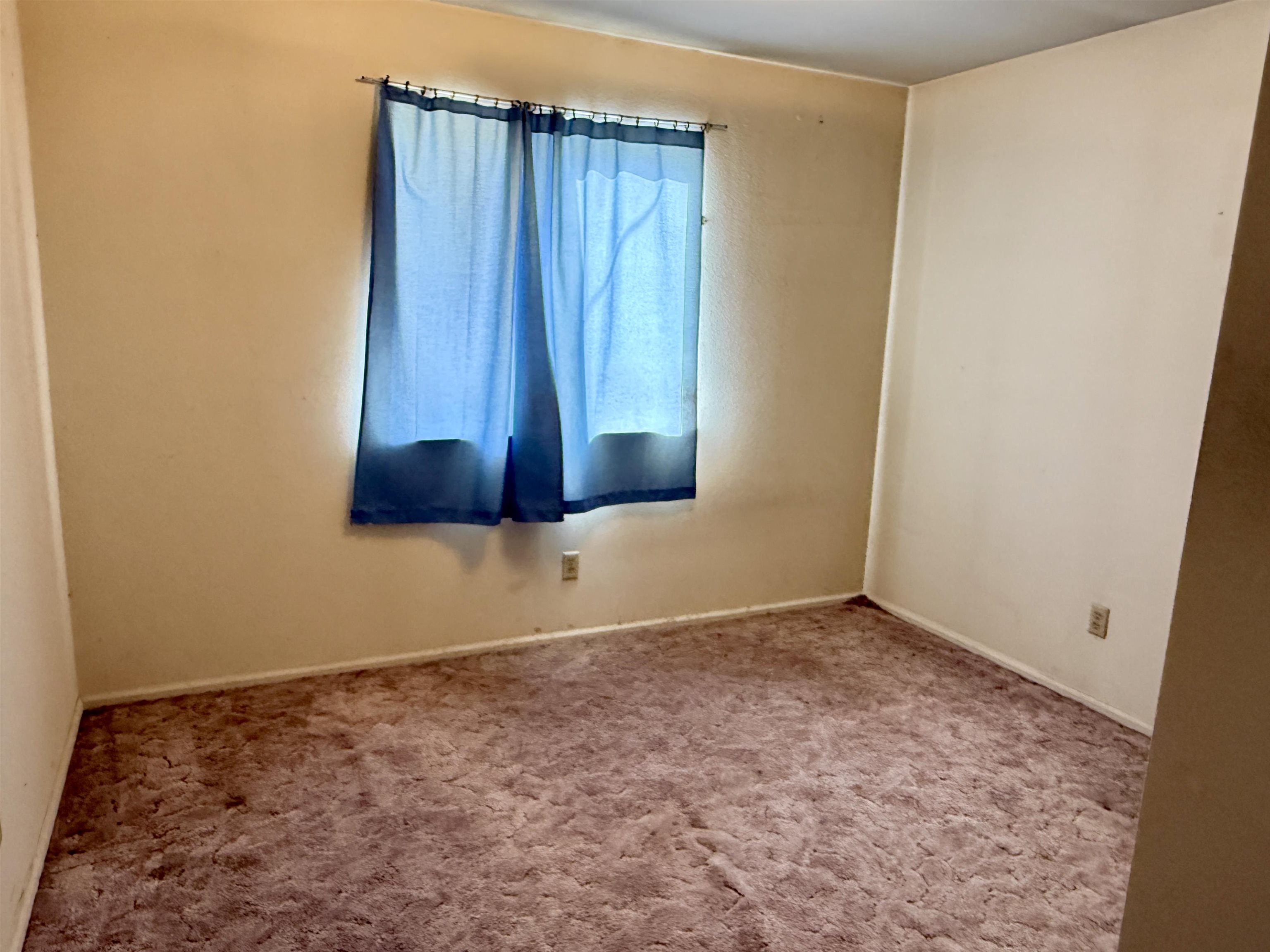 272 Walnut St