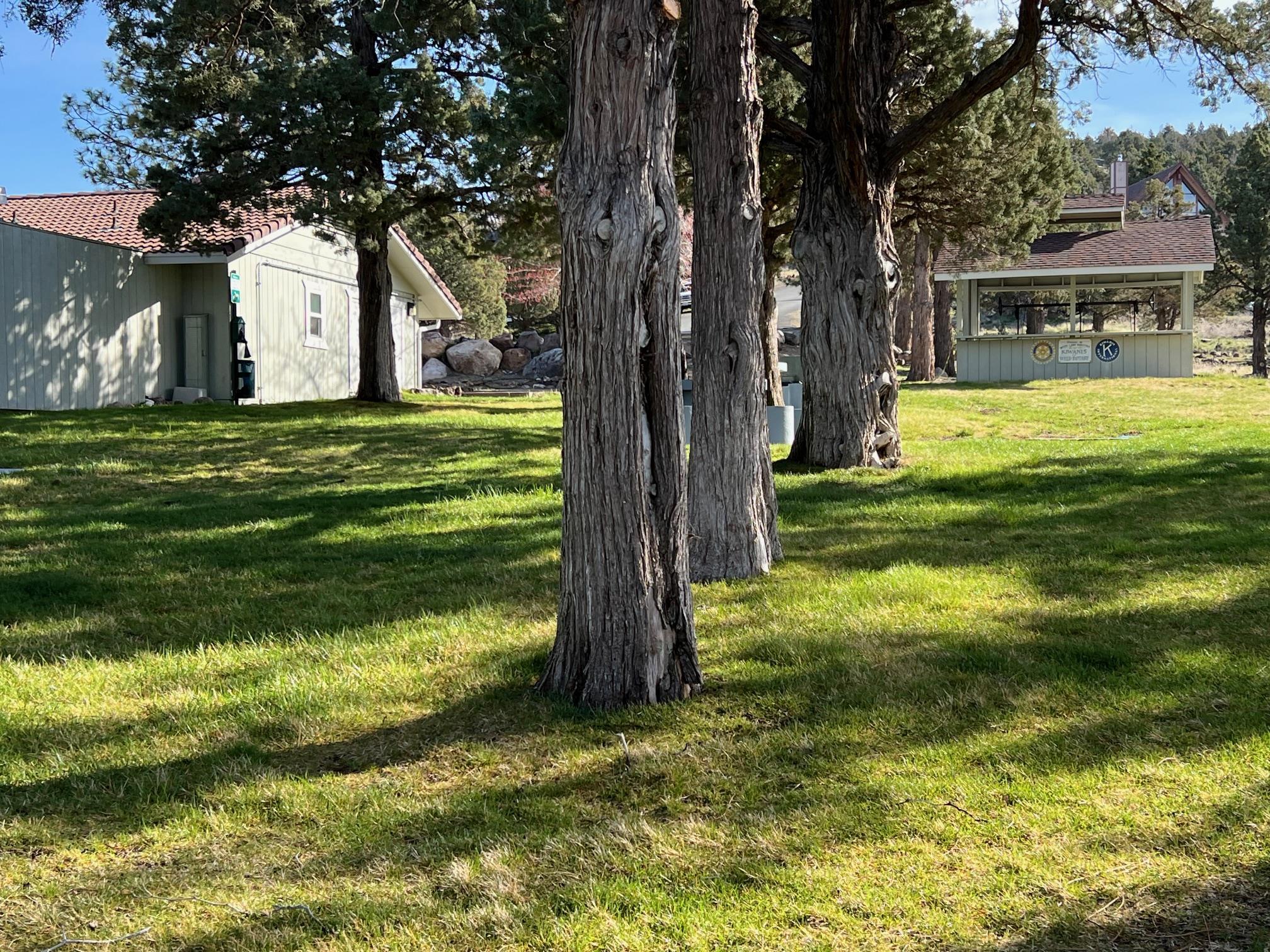 Unit 1 Lot 78 Lake Shastina Dr