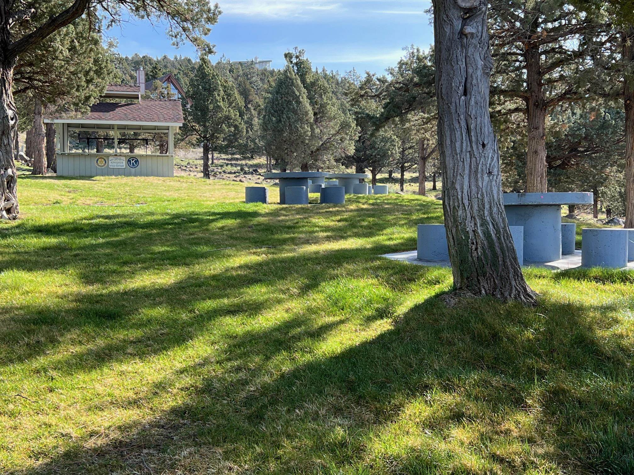 Unit 1 Lot 78 Lake Shastina Dr