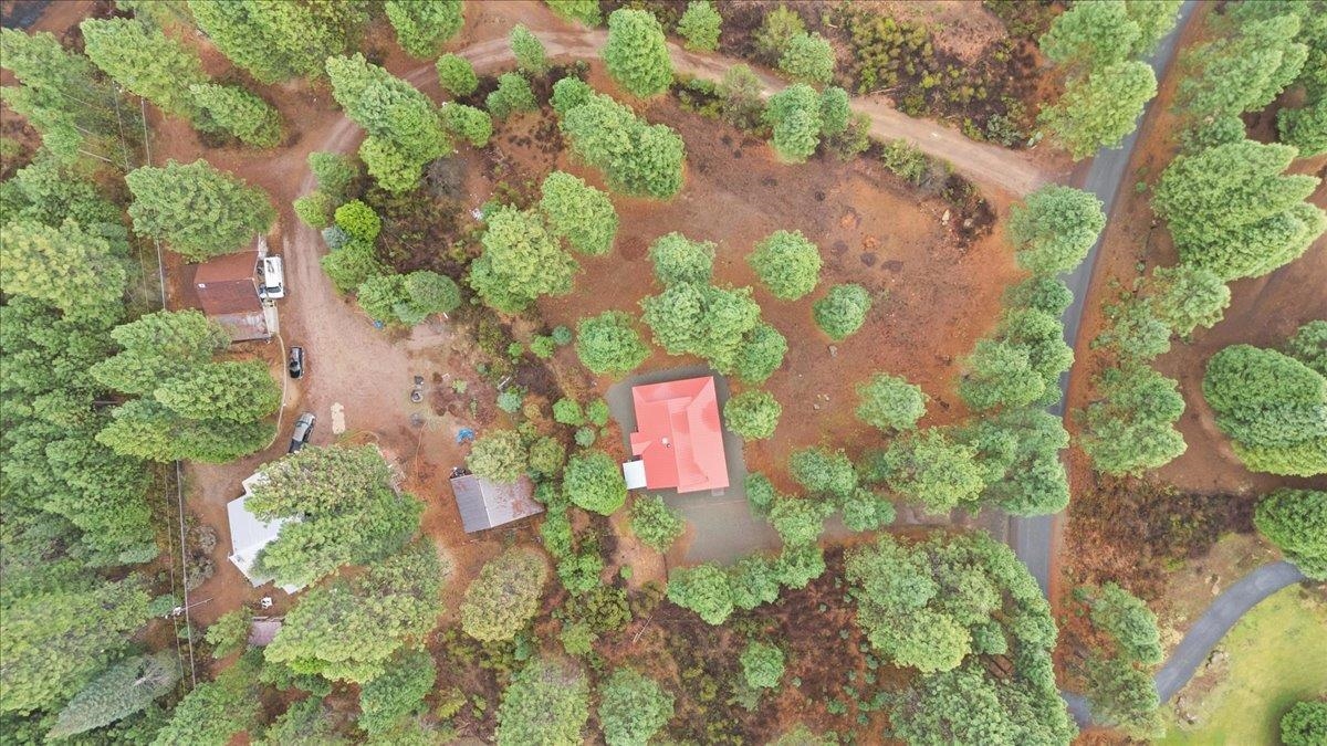 435 Shasta Pines Rd
