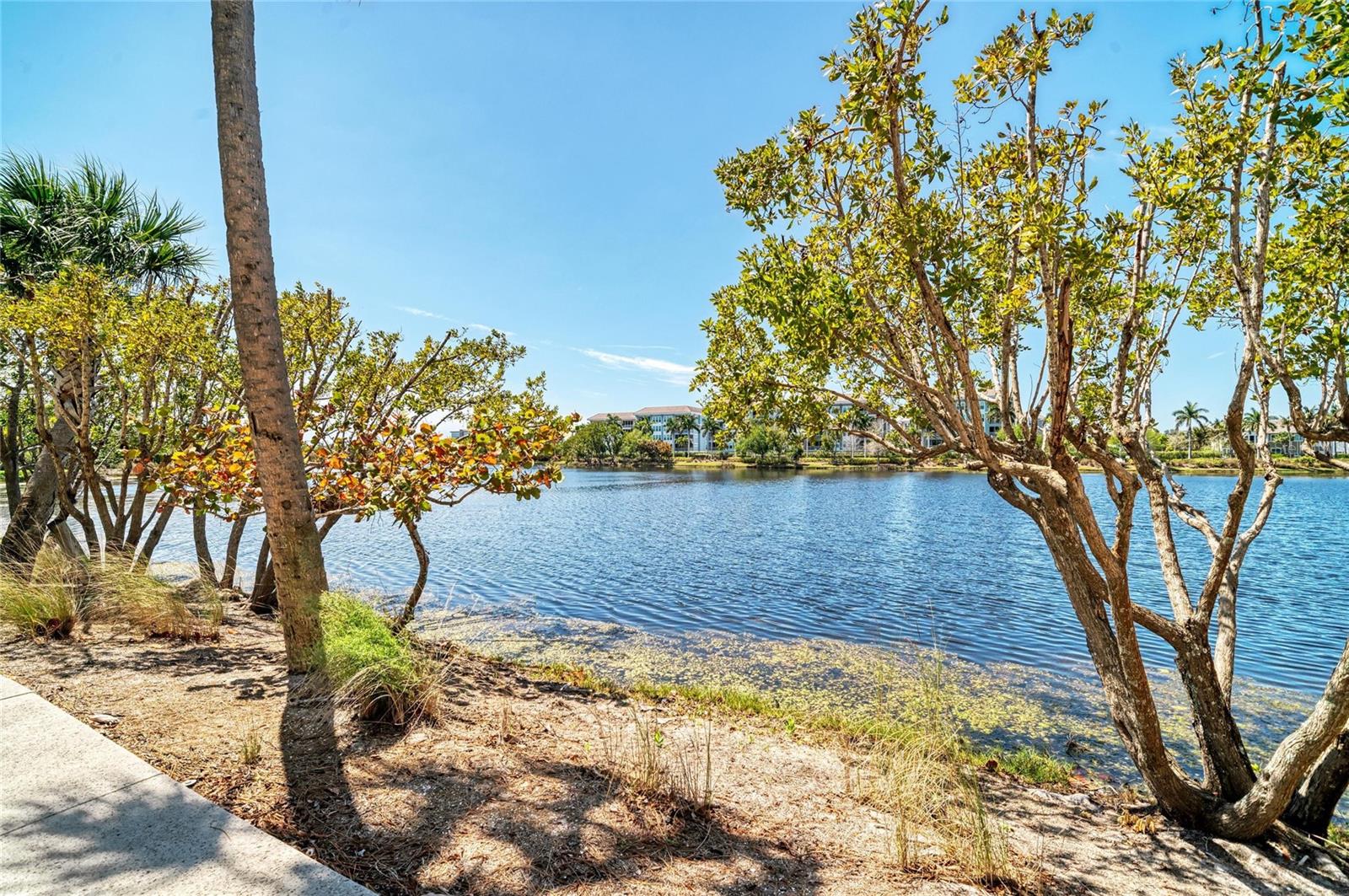 348 SAPPHIRE LAKE DR #101