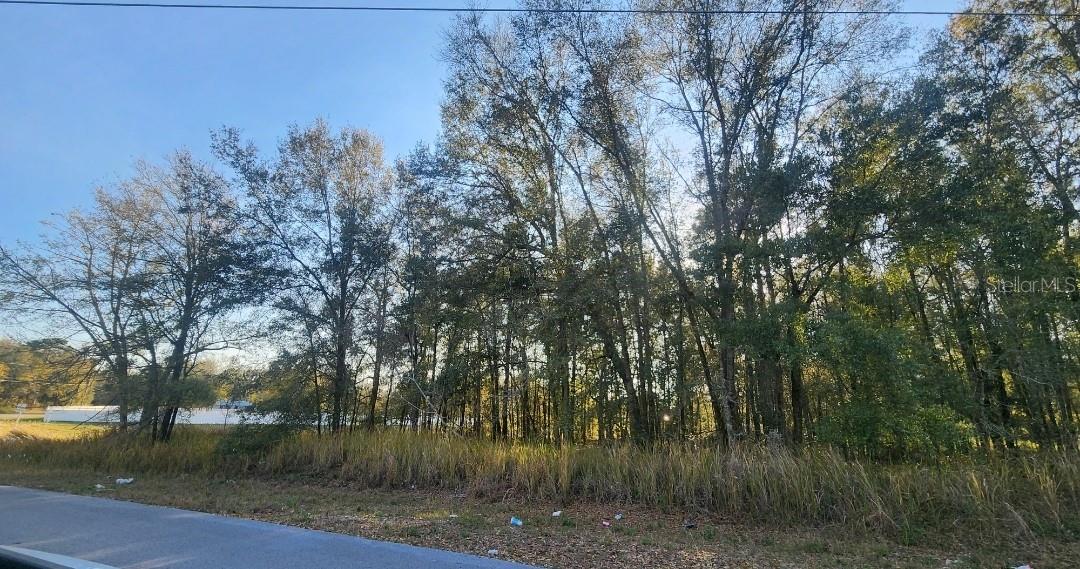 000 DOGWOOD DRIVE PASS