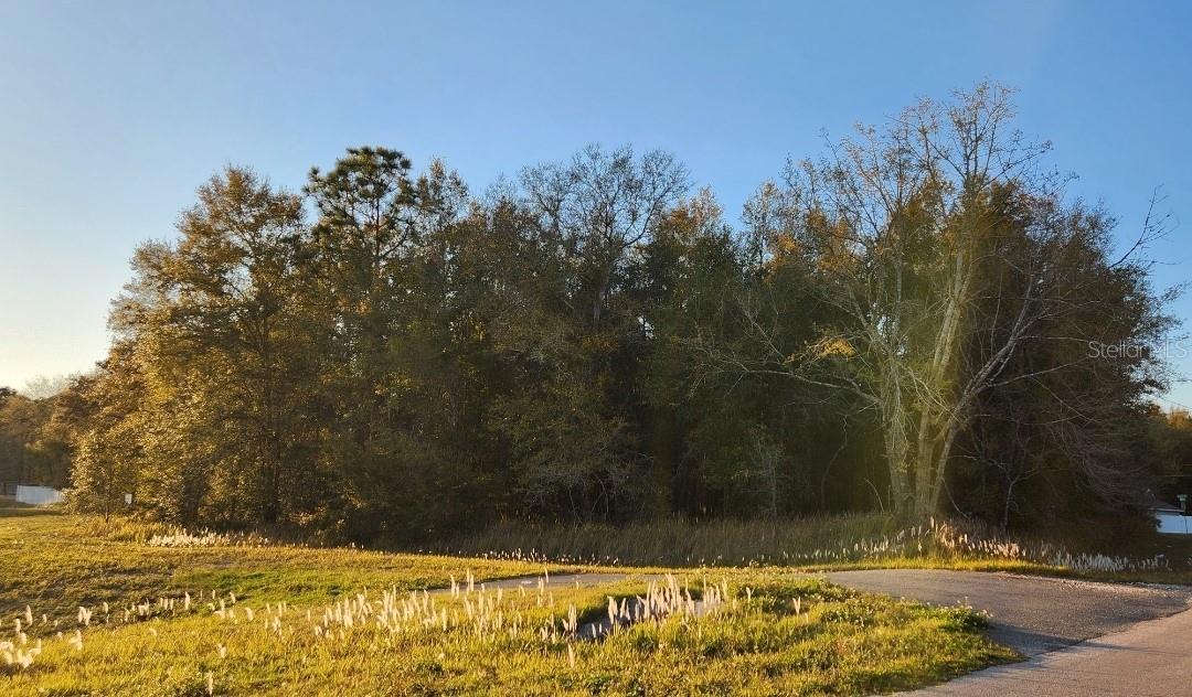 000 DOGWOOD DRIVE PASS