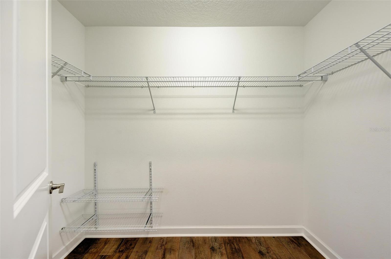 10068 VICTORY GALLOP LOOP