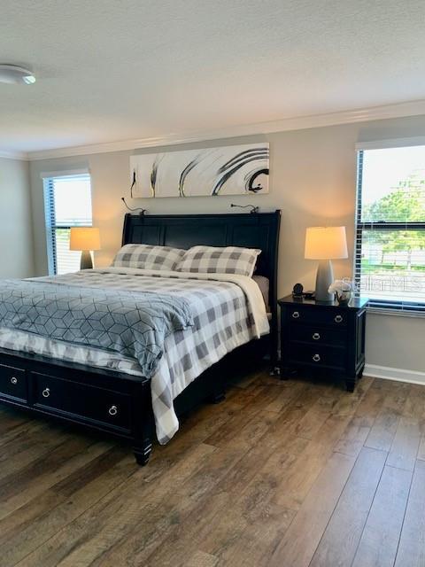 10068 VICTORY GALLOP LOOP