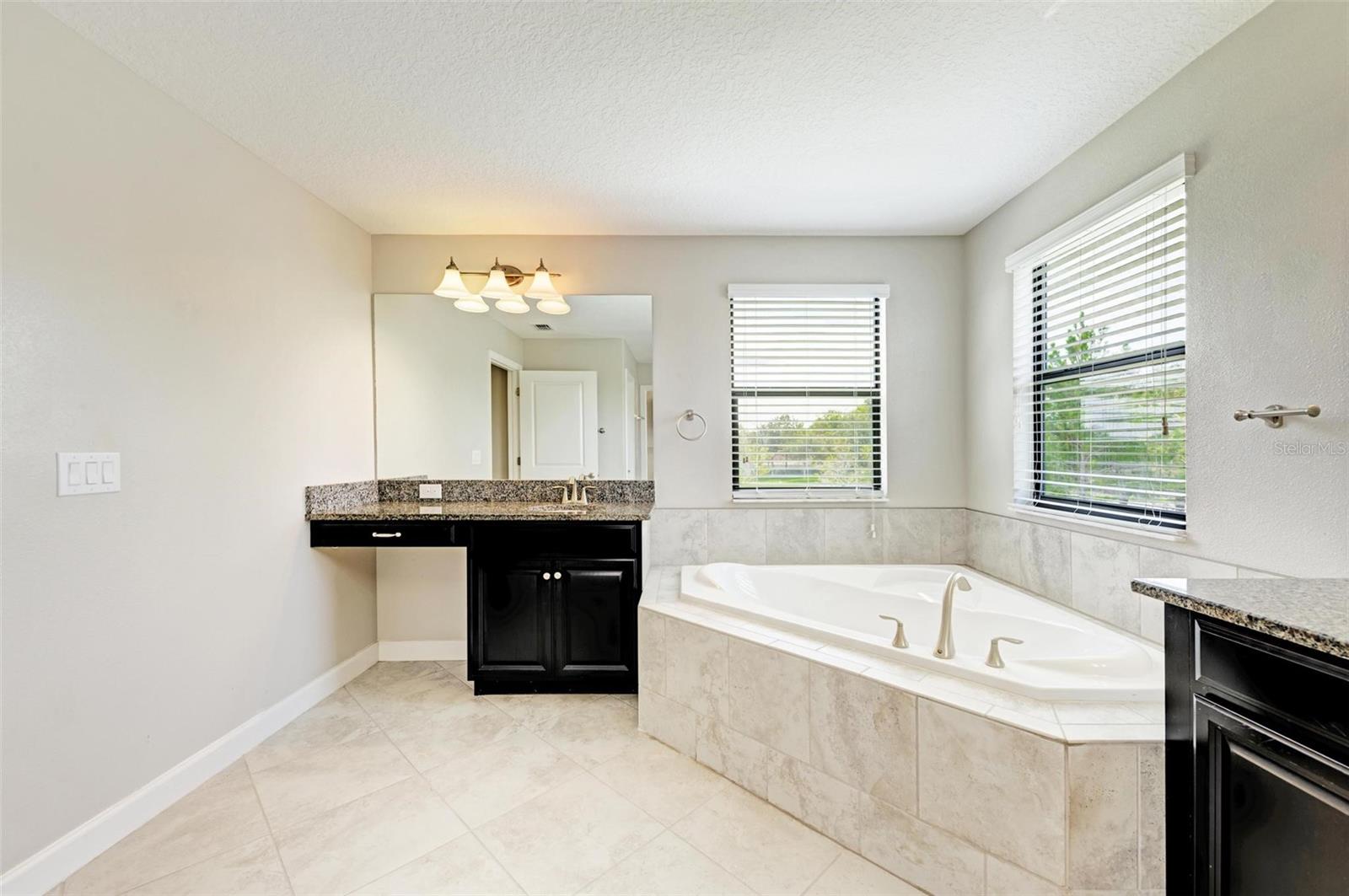 10068 VICTORY GALLOP LOOP