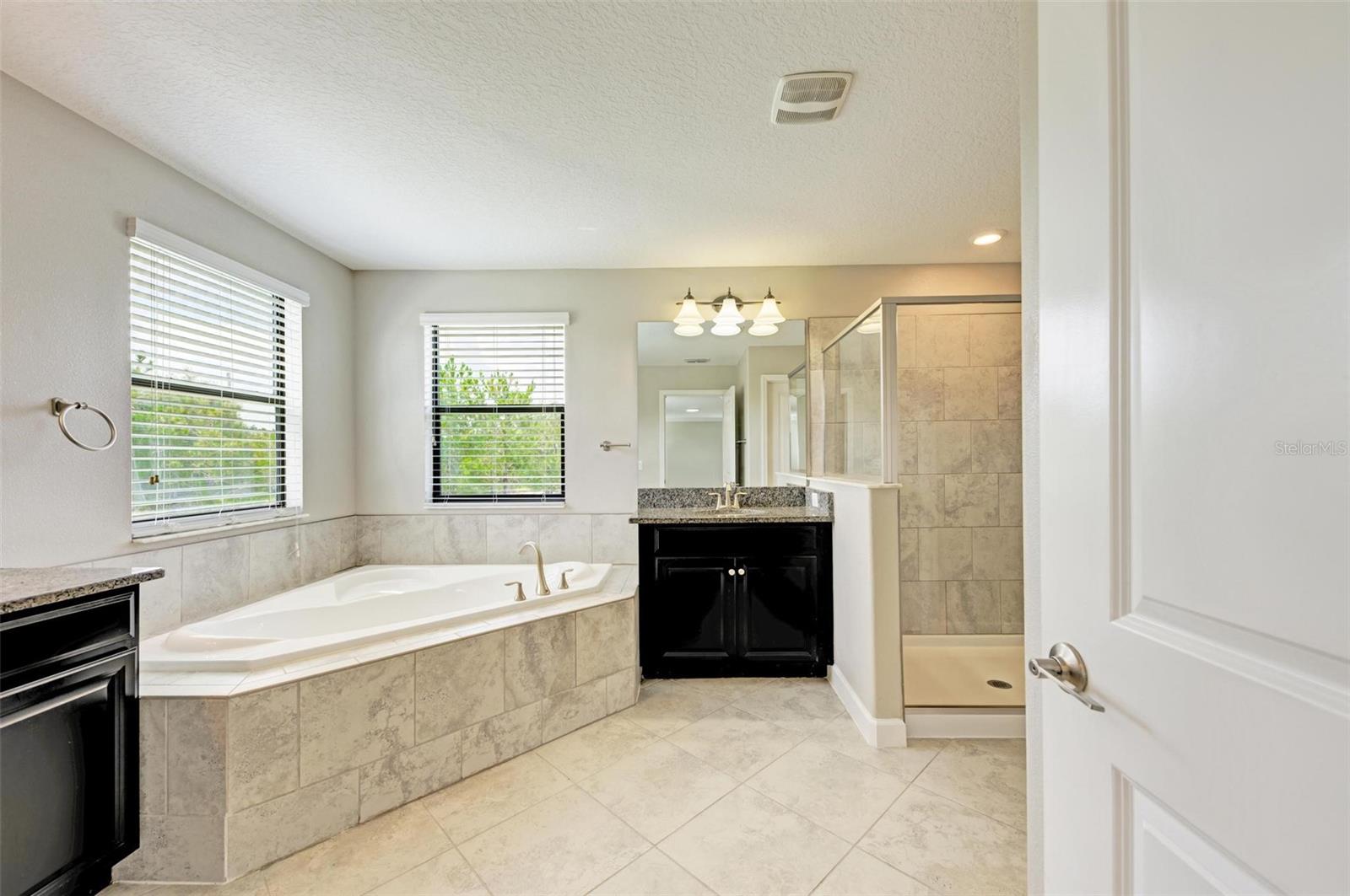 10068 VICTORY GALLOP LOOP