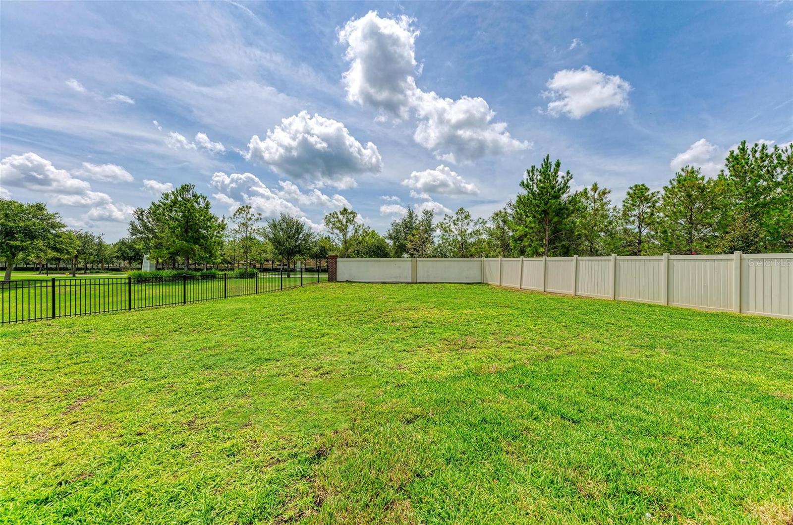 10068 VICTORY GALLOP LOOP