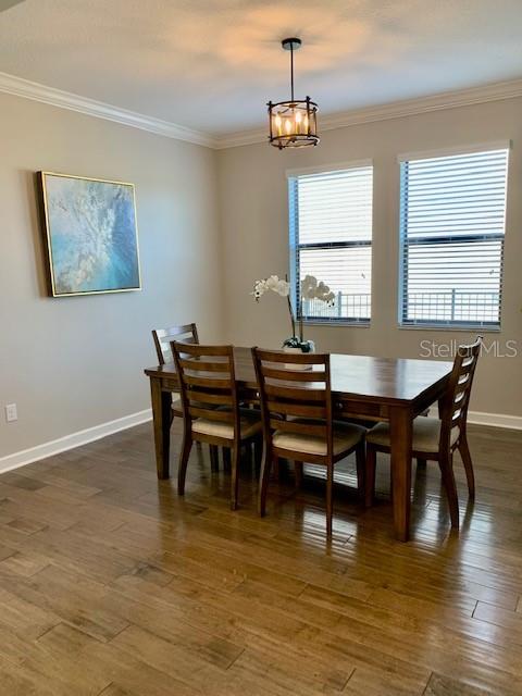 10068 VICTORY GALLOP LOOP