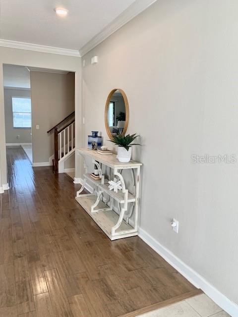 10068 VICTORY GALLOP LOOP