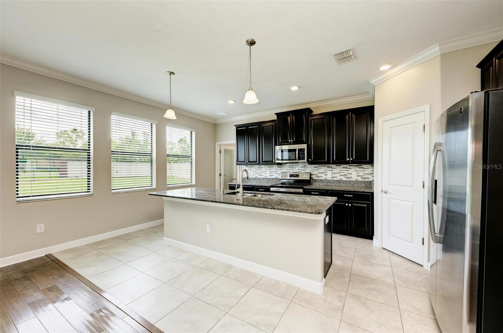 10068 VICTORY GALLOP LOOP