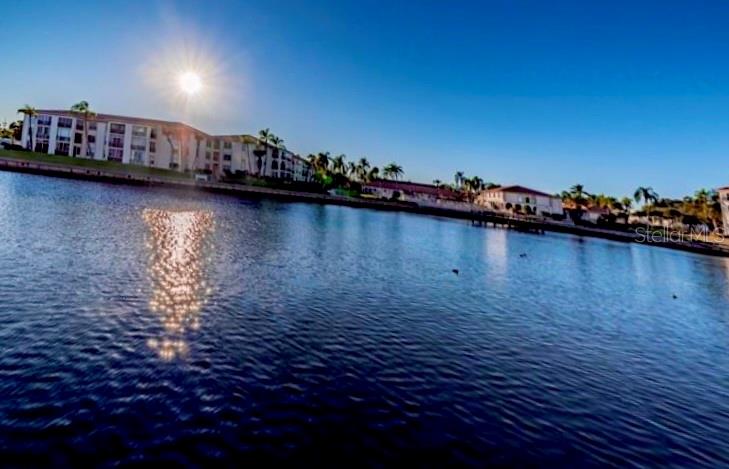 19029 US HIGHWAY 19 N #4-11