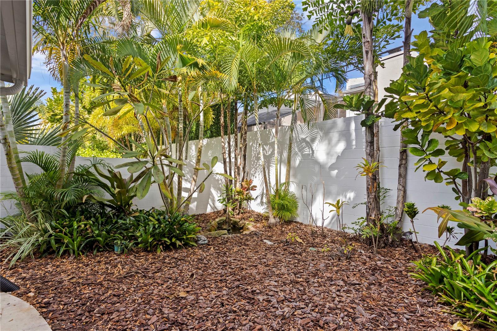 3101 W EL PRADO BLVD #C