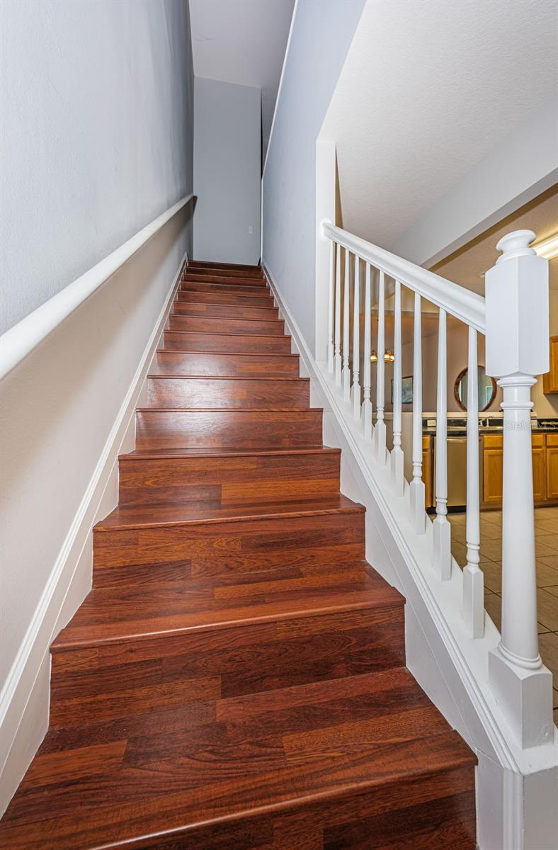 2817 CONCH HOLLOW DR