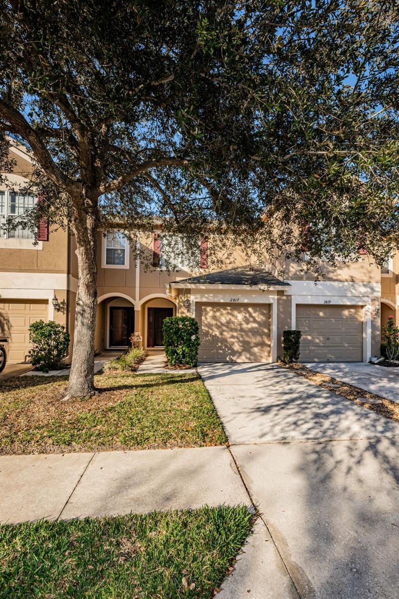 2817 CONCH HOLLOW DR