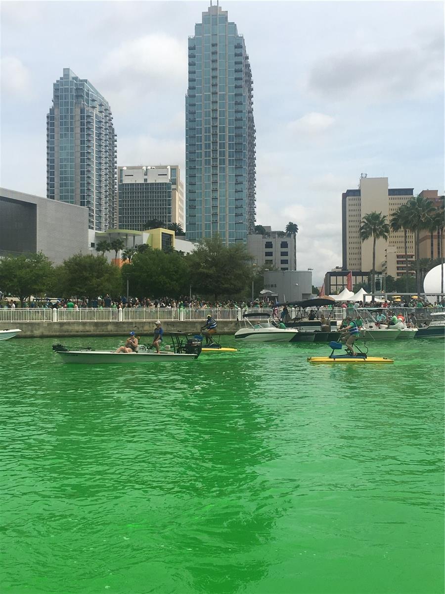 2424 W TAMPA BAY BLVD #C102