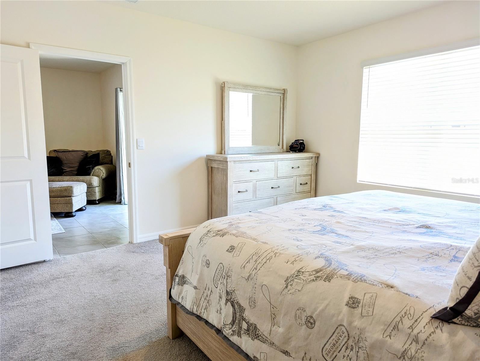 16122 SOFT FERN TRCE