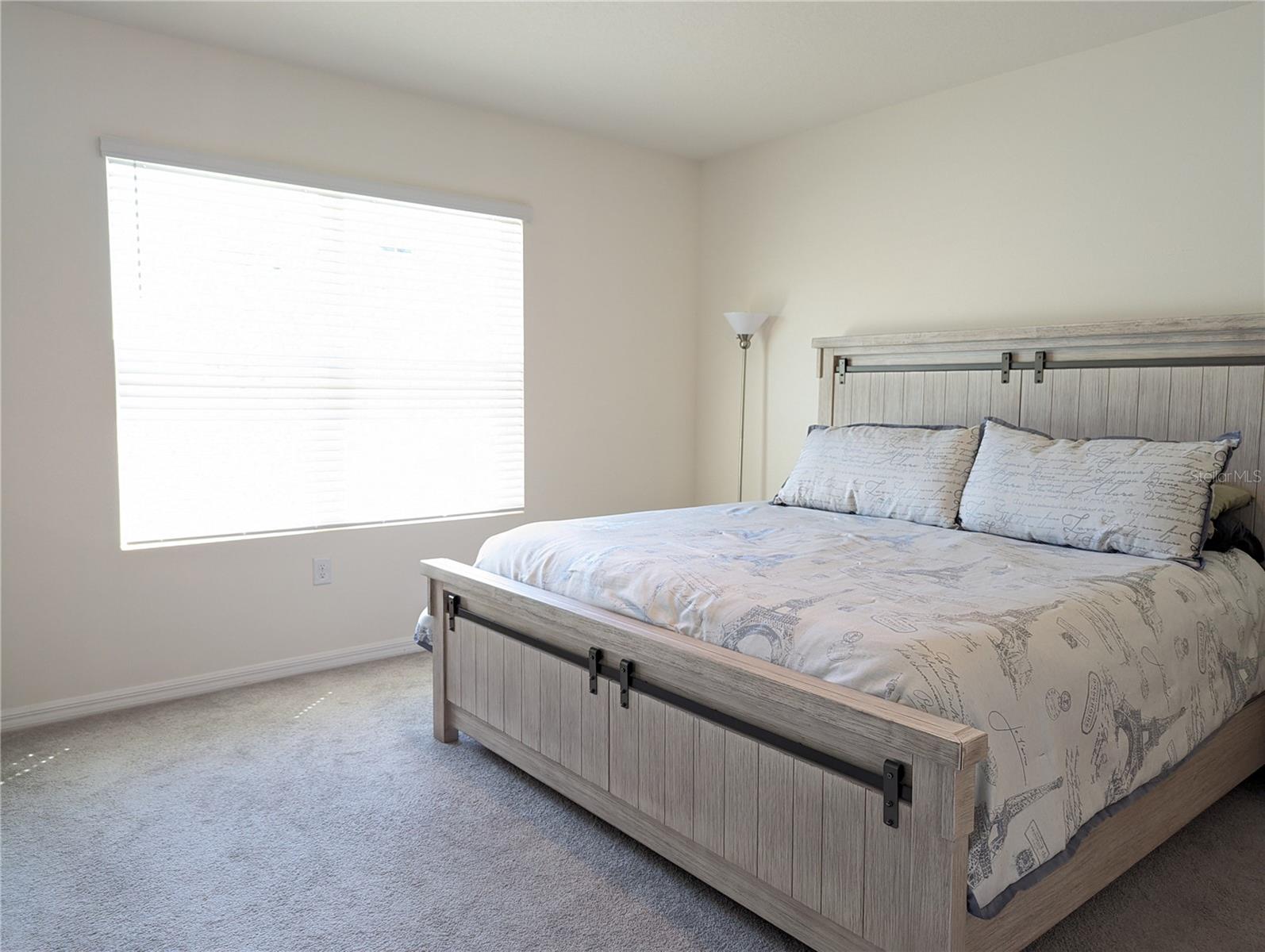 16122 SOFT FERN TRCE