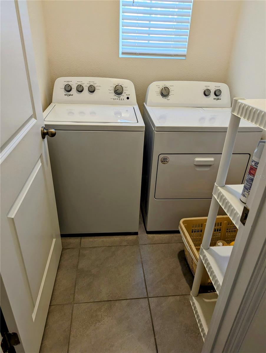 16122 SOFT FERN TRCE