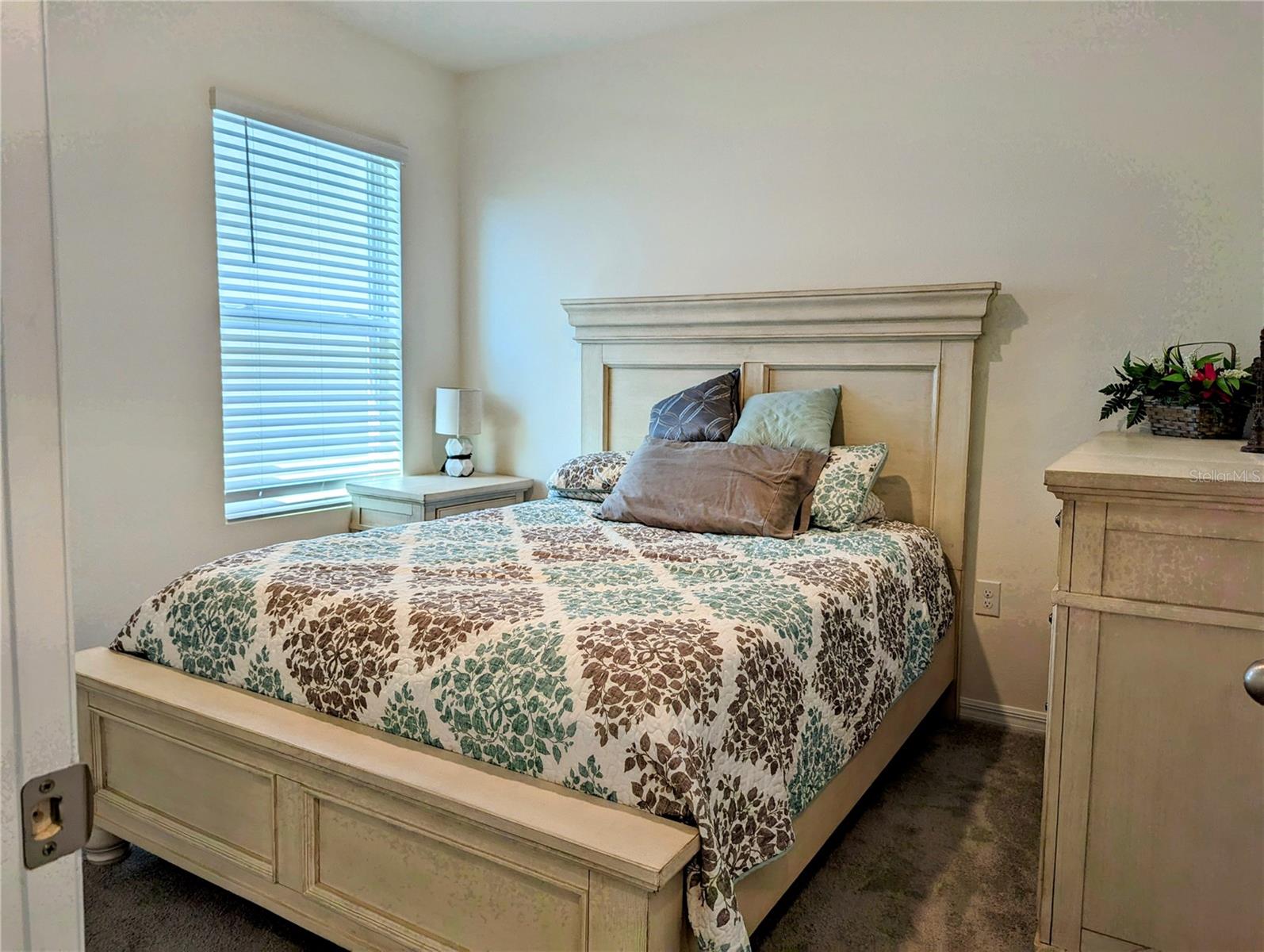 16122 SOFT FERN TRCE