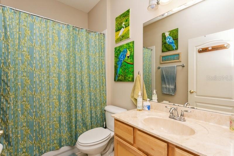 15221 HAMMOCK CHASE CT