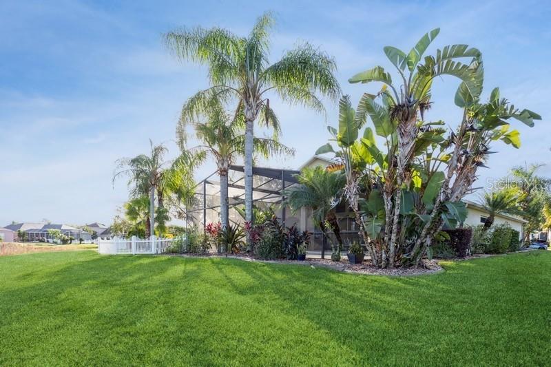 15221 HAMMOCK CHASE CT