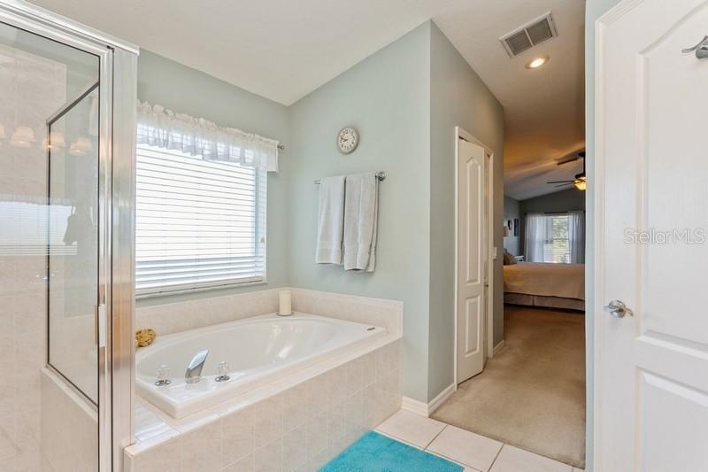 15221 HAMMOCK CHASE CT