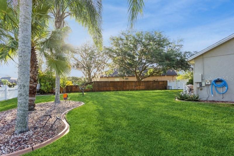 15221 HAMMOCK CHASE CT