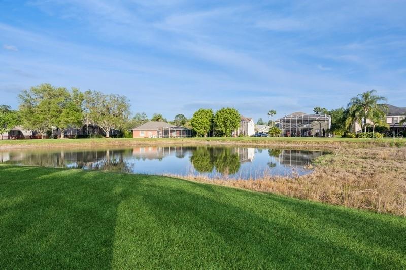 15221 HAMMOCK CHASE CT