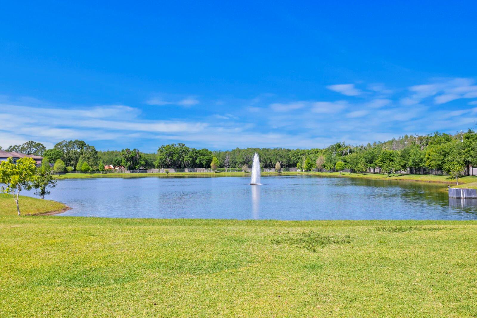 18825 BIRCHWOOD GROVES DR