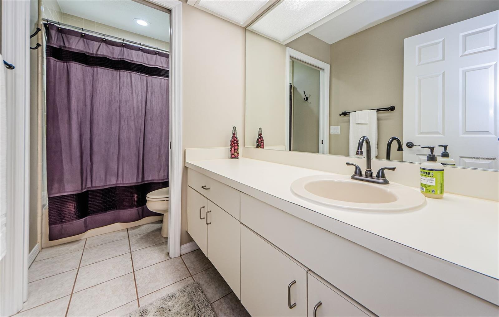 3910 BUCKINGHAM LOOP DR