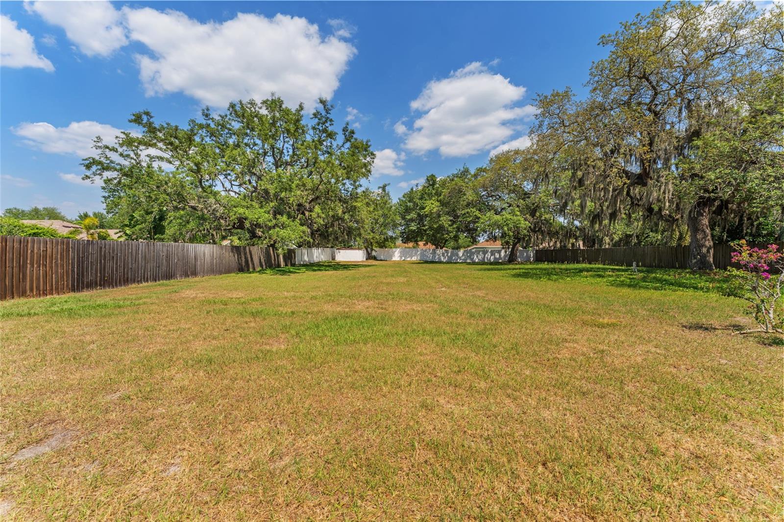 12308 TWINKLING STAR PL