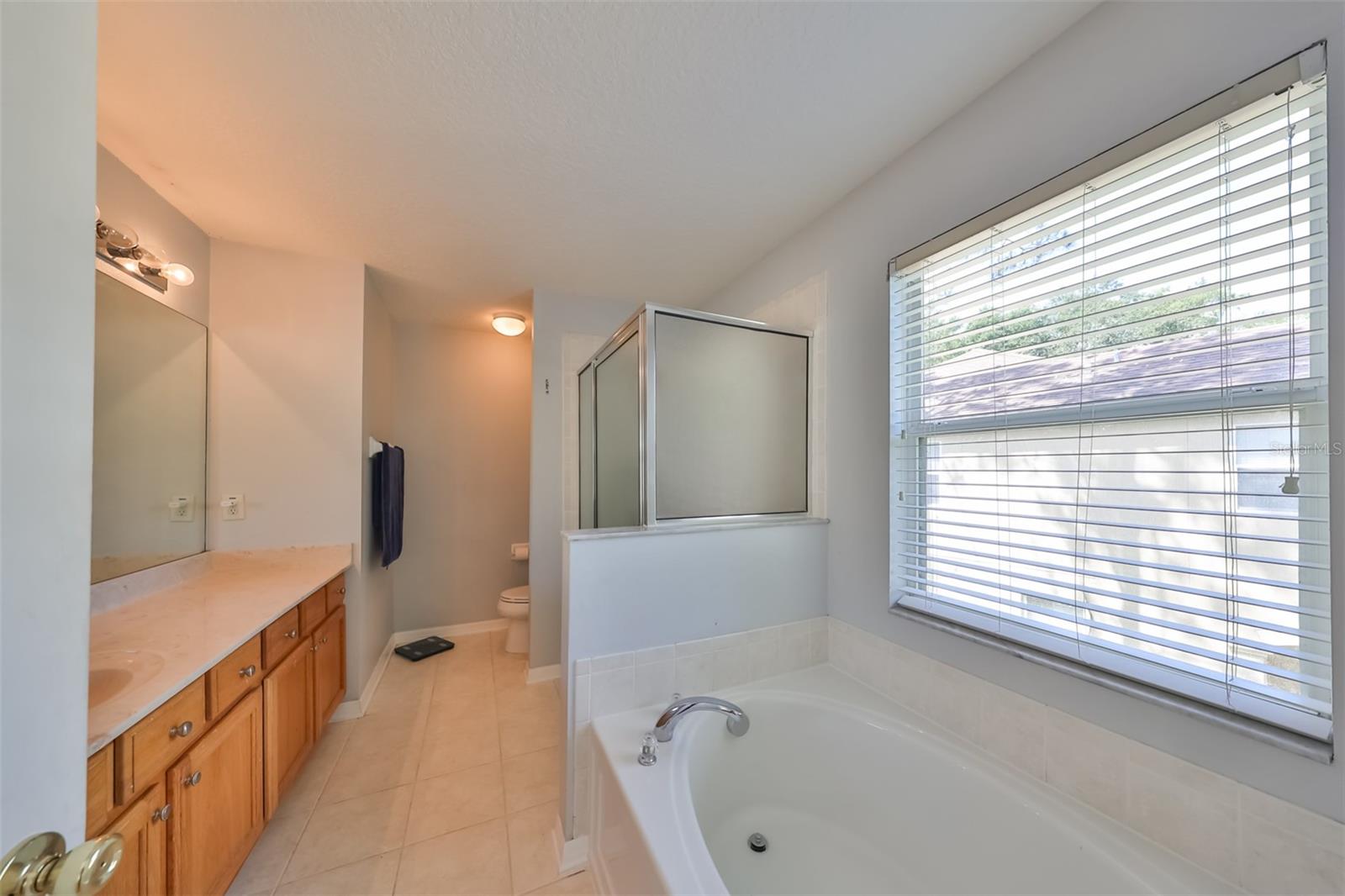 10535 SHADY FALLS CT