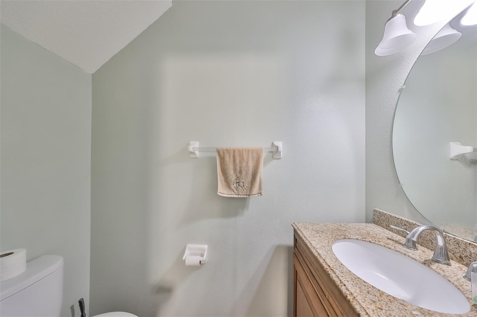 10535 SHADY FALLS CT