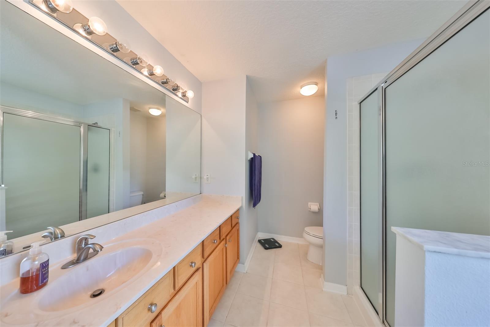 10535 SHADY FALLS CT