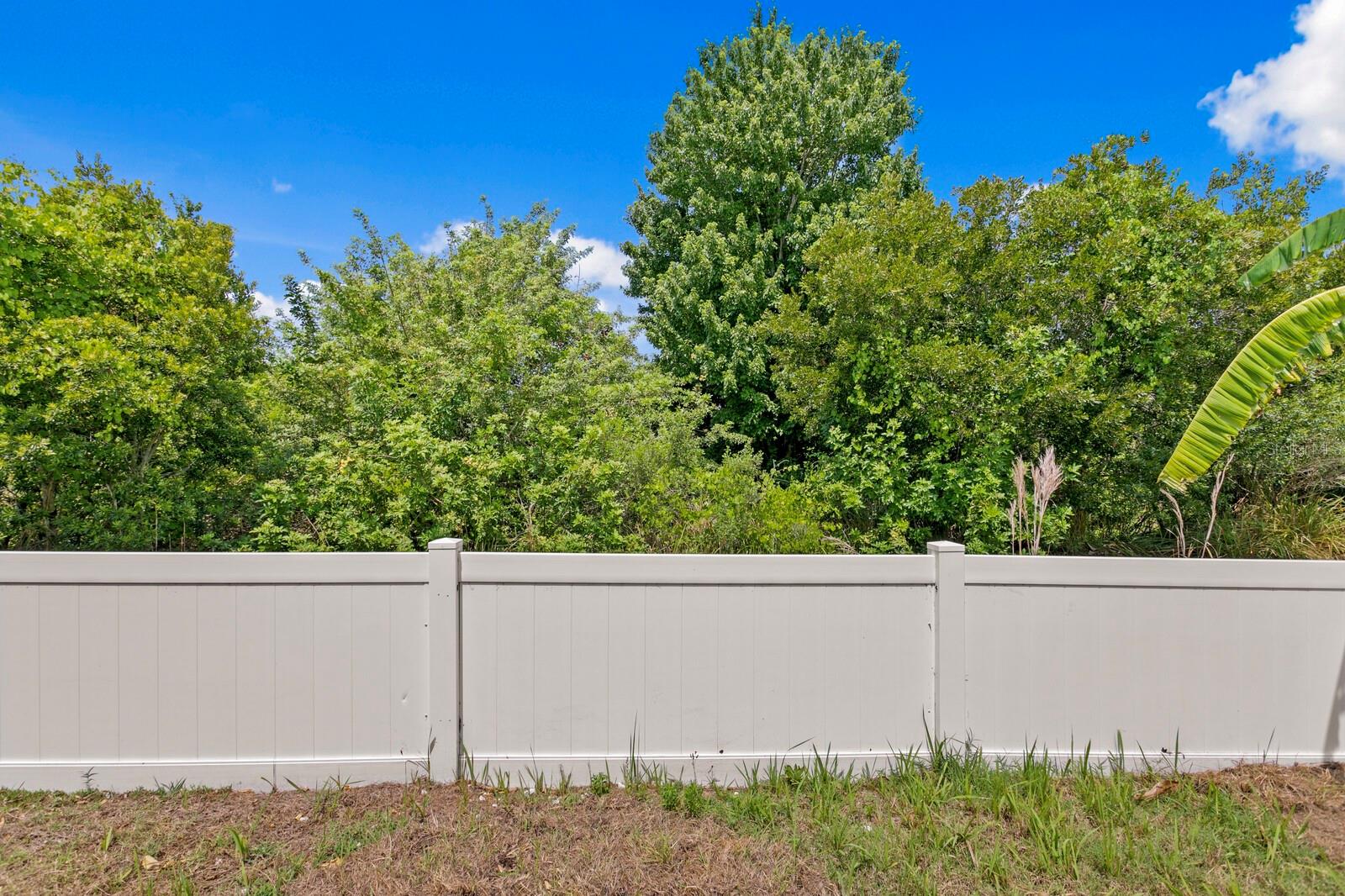 11609 IRIS SPRING CT