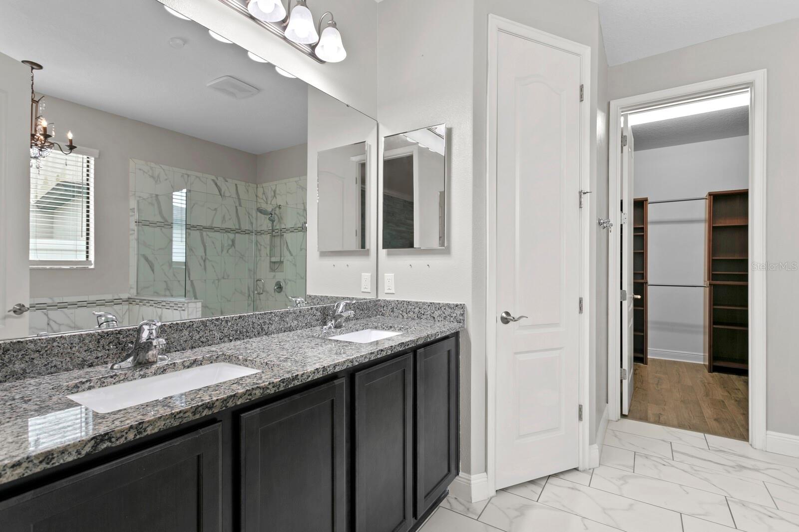 11609 IRIS SPRING CT