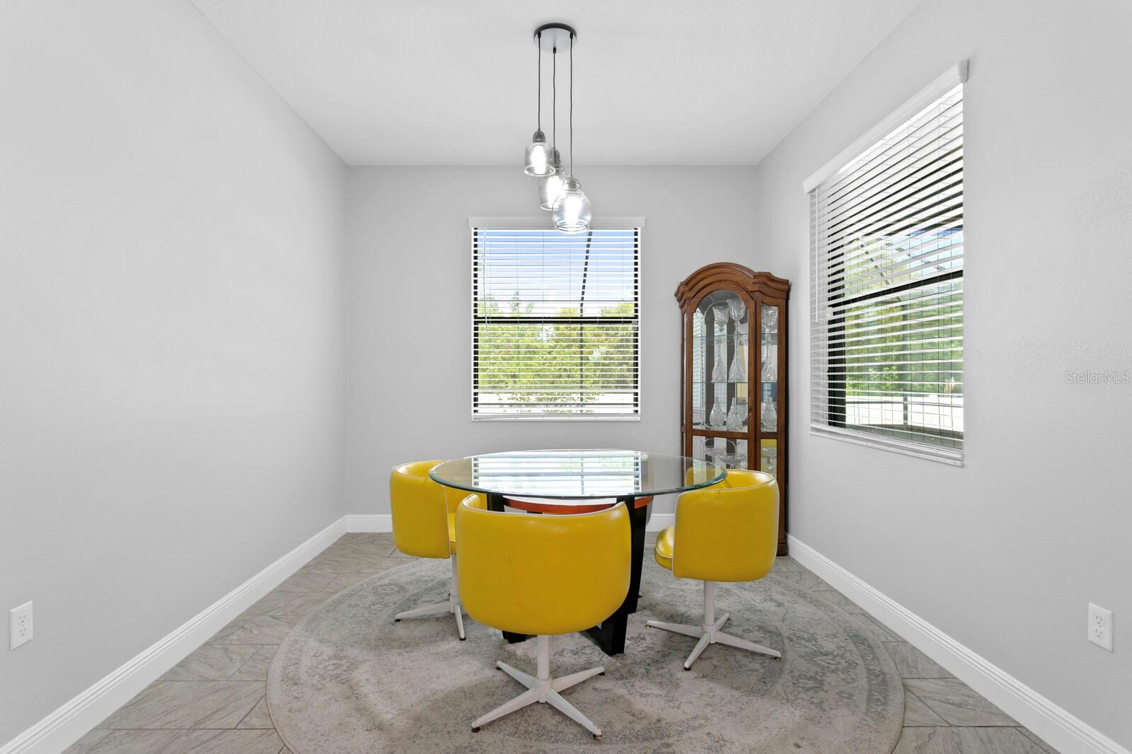 11609 IRIS SPRING CT