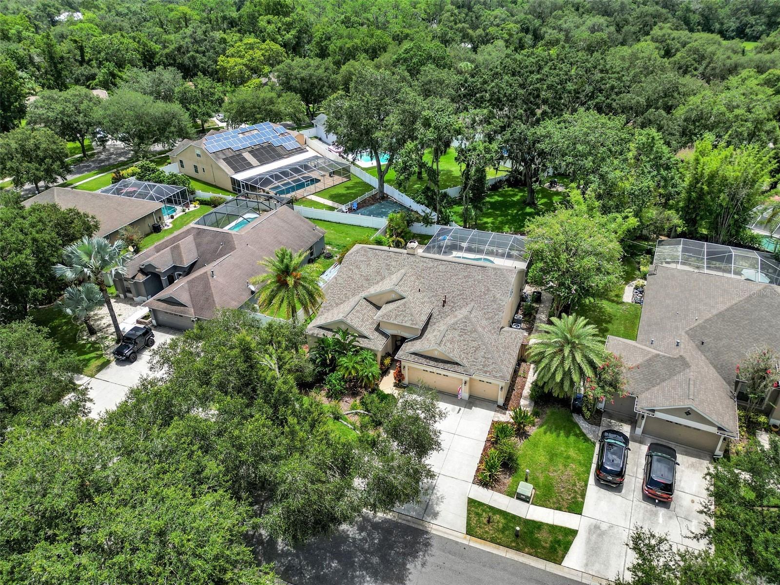 12521 RIVER BIRCH DR