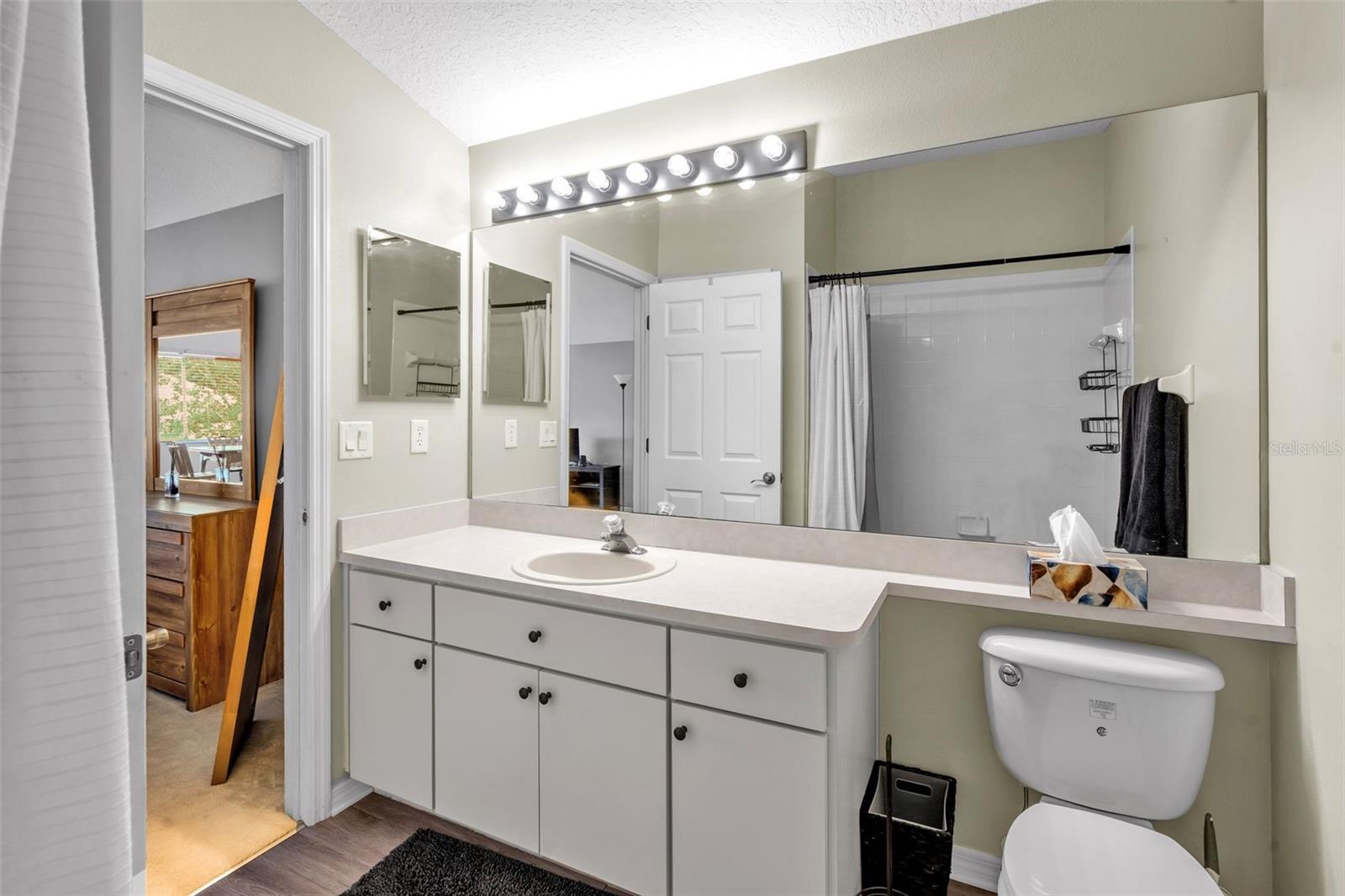 12521 RIVER BIRCH DR