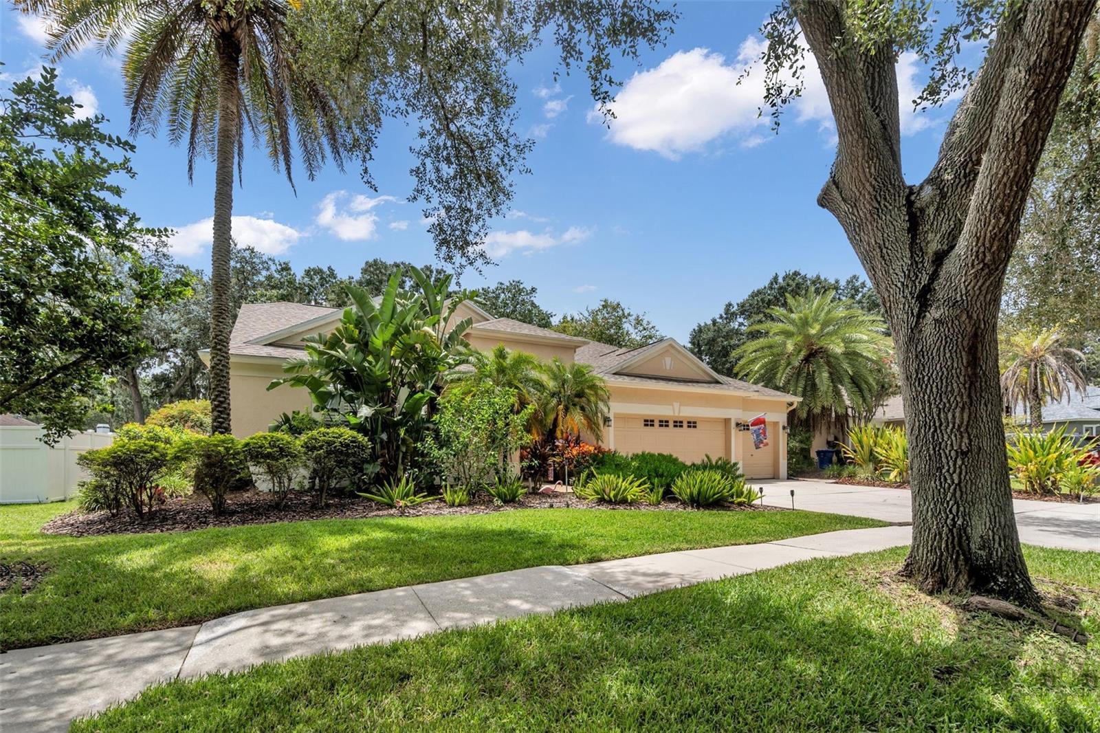 12521 RIVER BIRCH DR