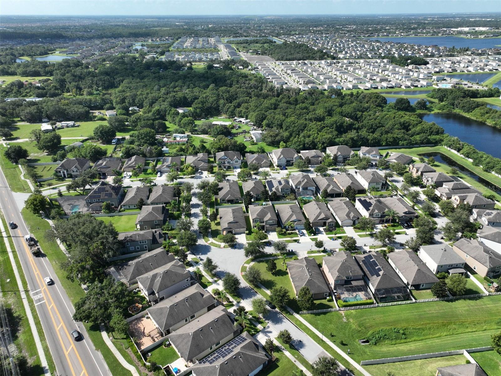 11650 PALMETTO PINE ST