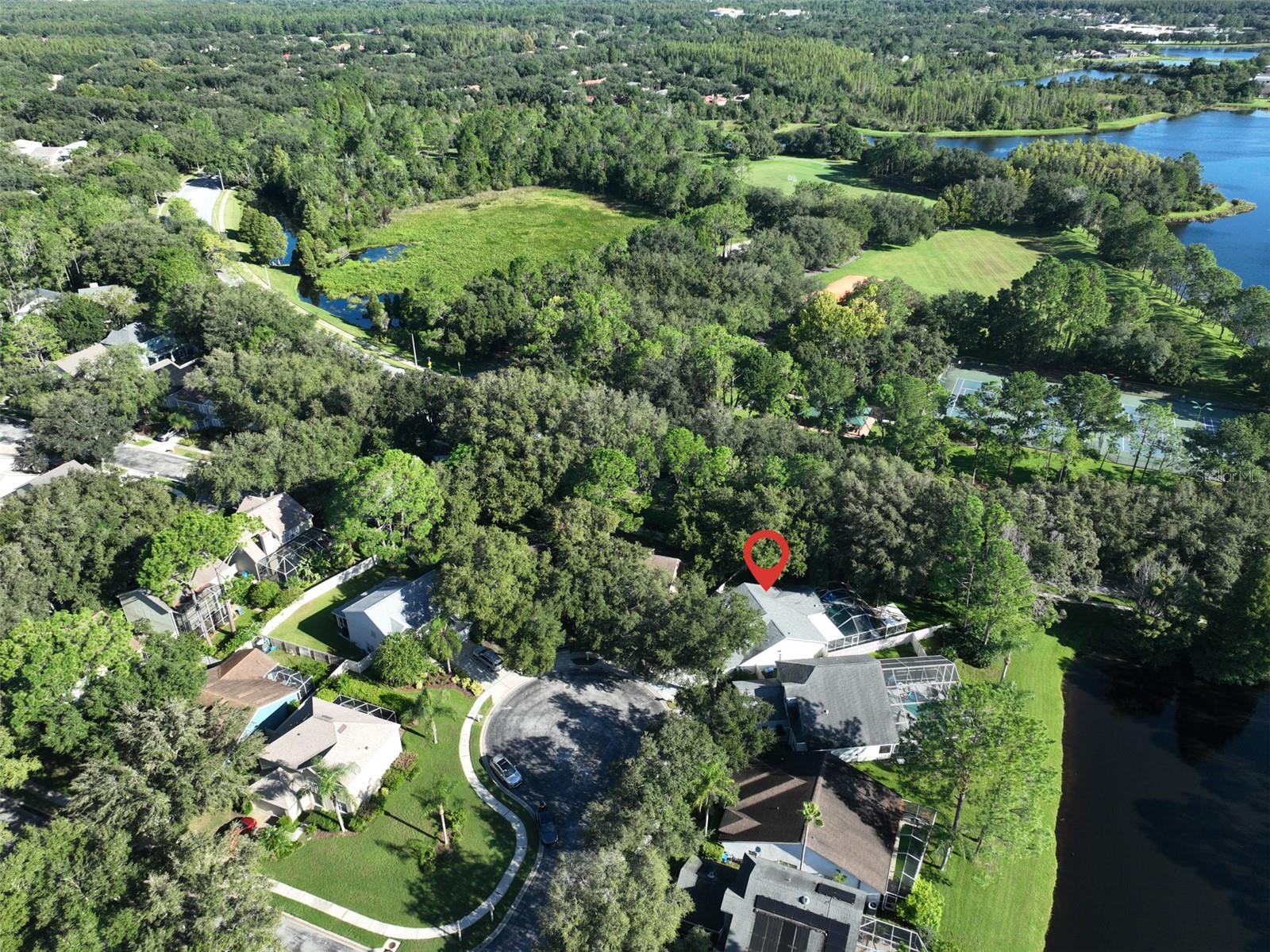 17721 RIDGEWAY POINT PL