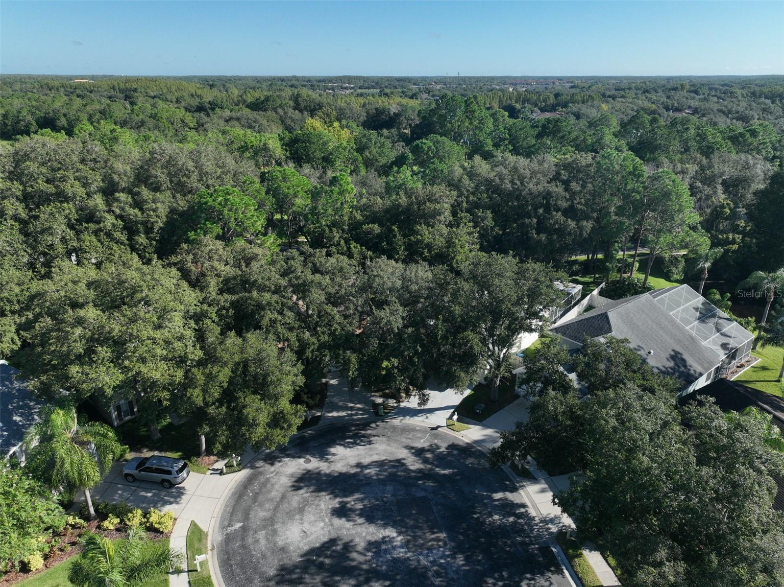 17721 RIDGEWAY POINT PL