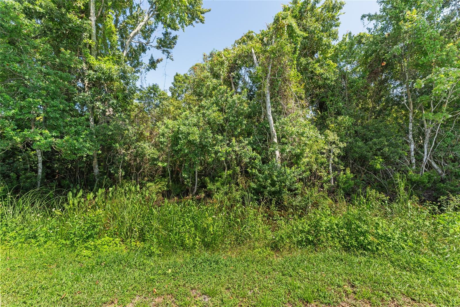 5151 FOREST GLENN DR